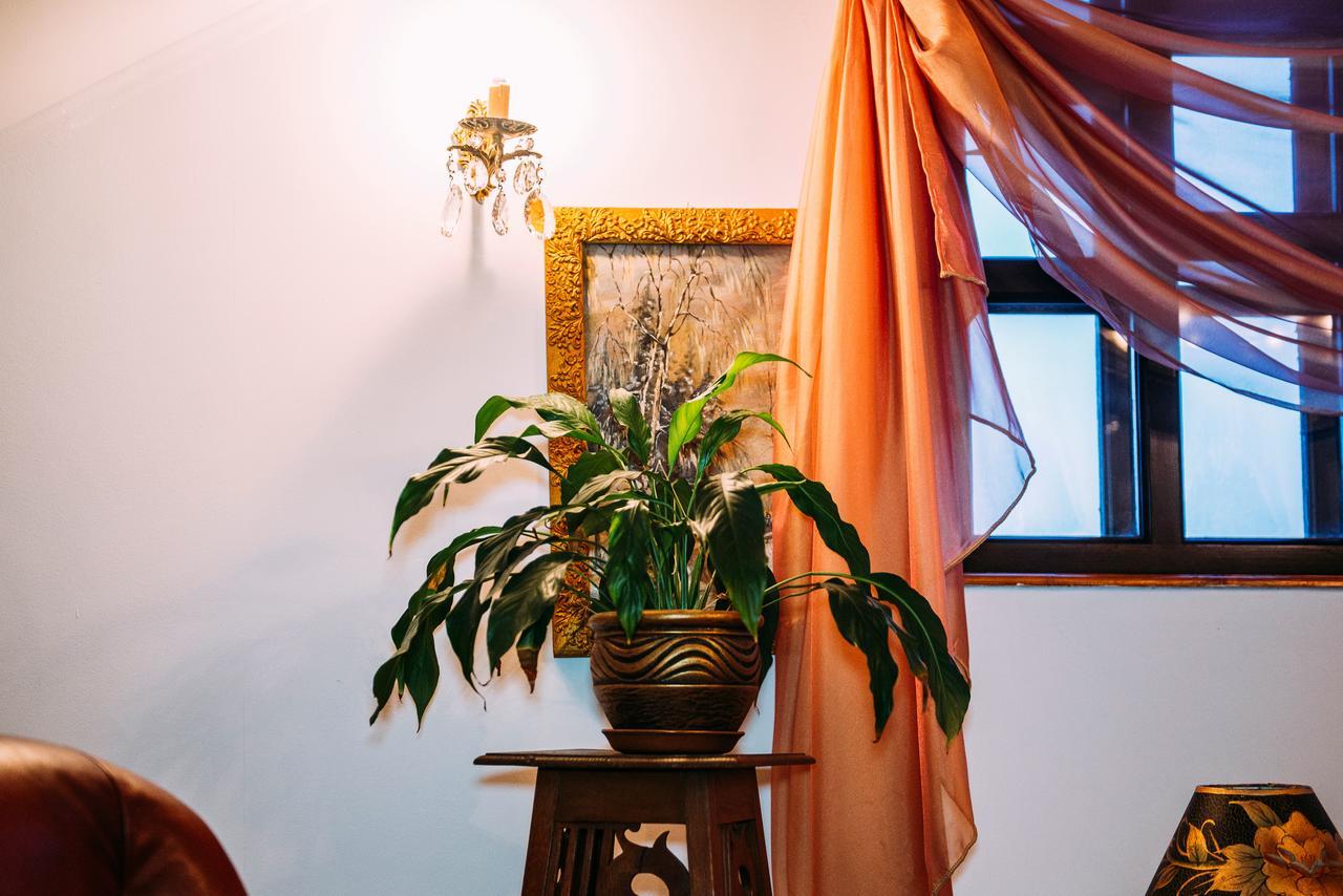 Antique House Hotel دوبنو المظهر الخارجي الصورة